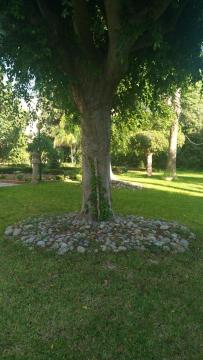 Casa nel parco