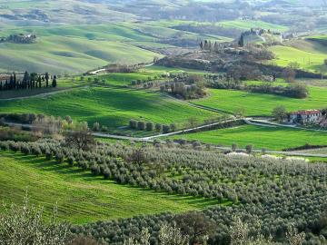 Appartamento il castellare