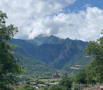 Oasi verde