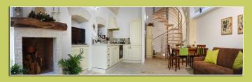B&B Camy