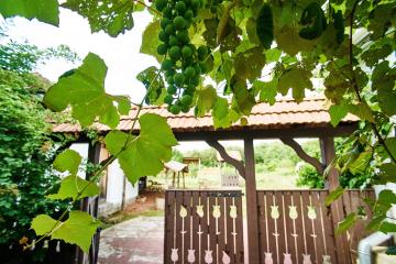 Othello House - Village Retreat