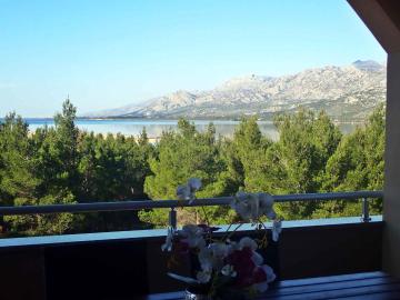 Apartment in Jasenice 42083