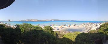 Stintino capo falcone vicinanze la pelosa