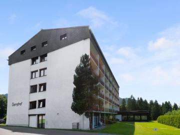 Comfortable apartment in Ellmau with balconies