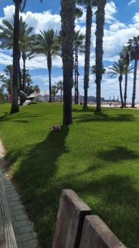 Salou Parque Central