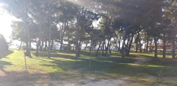 Apartman Petar