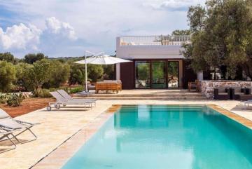 Olive Oasis