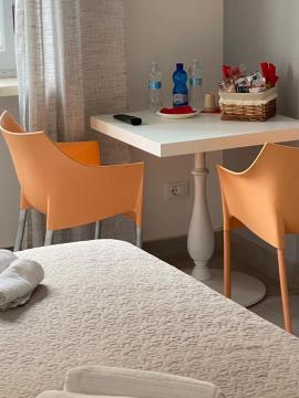 Domus Dotta New