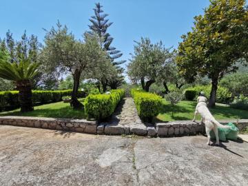Villa Anna Maratea
