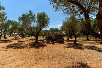 B&B L`Albero d`Oro by BarbarHouse