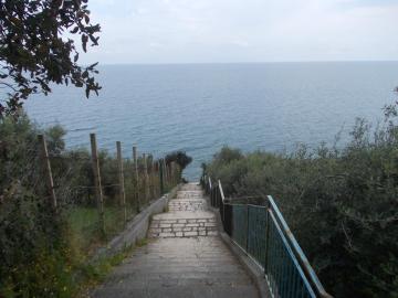 Soleli