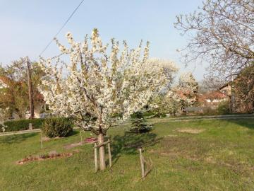 Panoráma Pihenőház