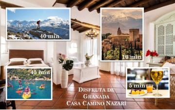 Ideal para grupos! Descubre Granada