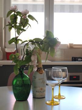 Apartmani Luce