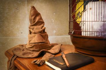 HARRY POTTER - le logis du petit sorcier - CLIMATISATION