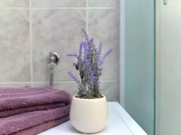 Apartman Sea