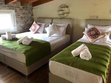 Green Olive Studios