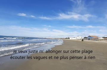 T2-3 cabine Les YUCCAS 200 m plage du Boucanet Rive Droite Grau du Roi idéal 4 pers