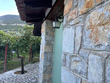 Citrus garden
