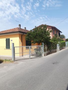 House & Garden