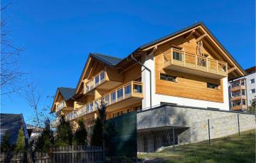 Amazing apartment in Flachau with 1 Bedrooms