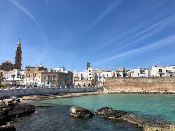 Tiny House Monopoli
