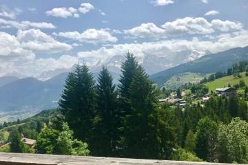 BRIGHT 45 m with VIEW of the Mont-Blanc