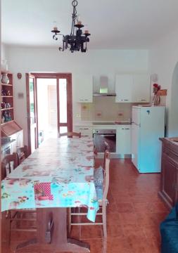 Il castagneto