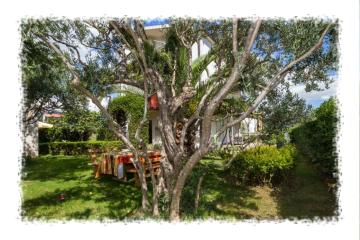 Hostel Oktarin