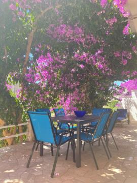 Vacation house Benedetto