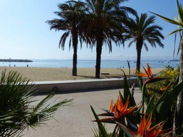 Appartement Le Lavandou, 1 pièce, 2 personnes - FR-1-308-156