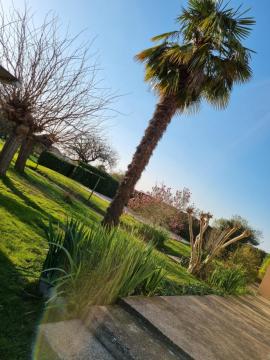 Villa avec piscine, 3 chambres,clim, jardin privé