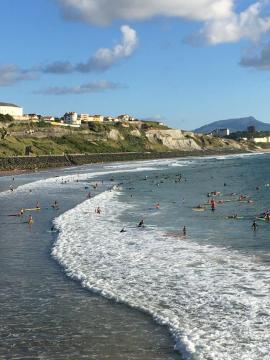 Apt-400m plage de Biarritz dans quartier résidentiel tous commerces très calme et tout confort