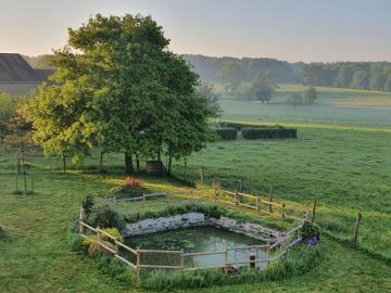 Bassin aux nénuphars