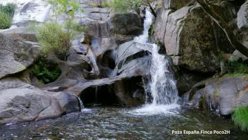 BAÑOS DE BOSQUE SUITES VEGETALES/CASCADAS 10 PERS.