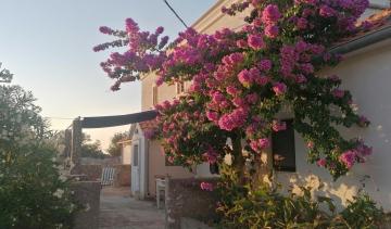 Charming 1 bedroom house on island Sestrunj