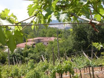 Agriturismo Ca' Verde