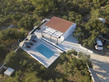 Olive Lounge House