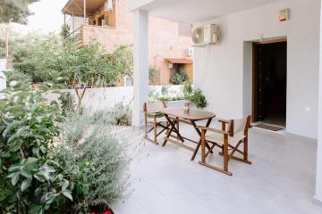 Pine trees 55