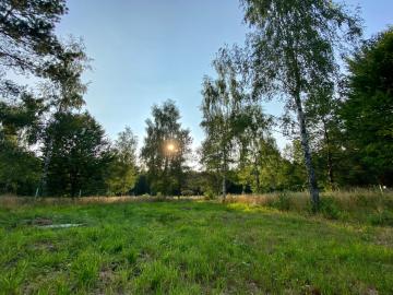 Ogrodzona działka na kemping, kampera 100m od lasu, 20min od Suntago