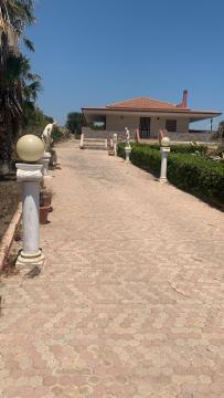 Luisiana's house
