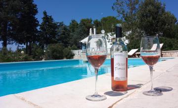 Guest house Conte Quidello