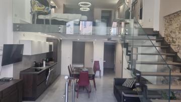 Magnifique Loft Cannes