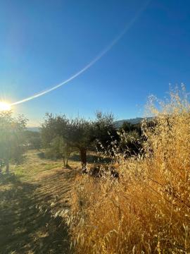 Area Campeggio Masusà