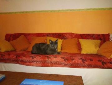Hotel Villa Morgana