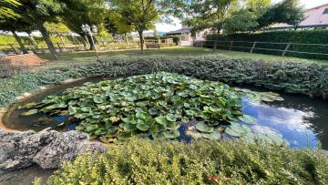 Villa Spelloissima - Sleeps 11