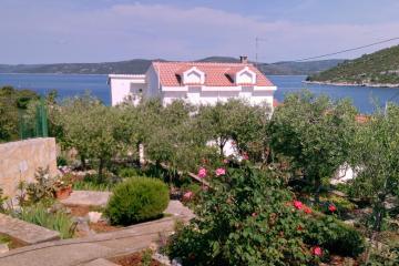 Family friendly seaside apartments Drvenik Veliki, Drvenik - 11832