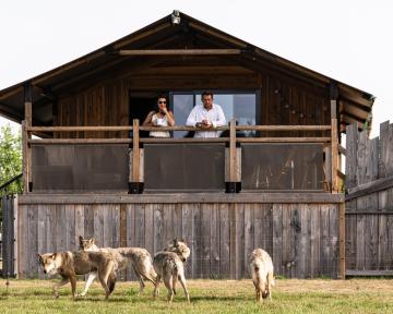 Rendez-Vous en Terre Animale