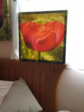 THE POPPIES Private Suite with Charm 100m Ocean - Ideal Located to discover Tenerife Island!