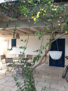 Blu Casina